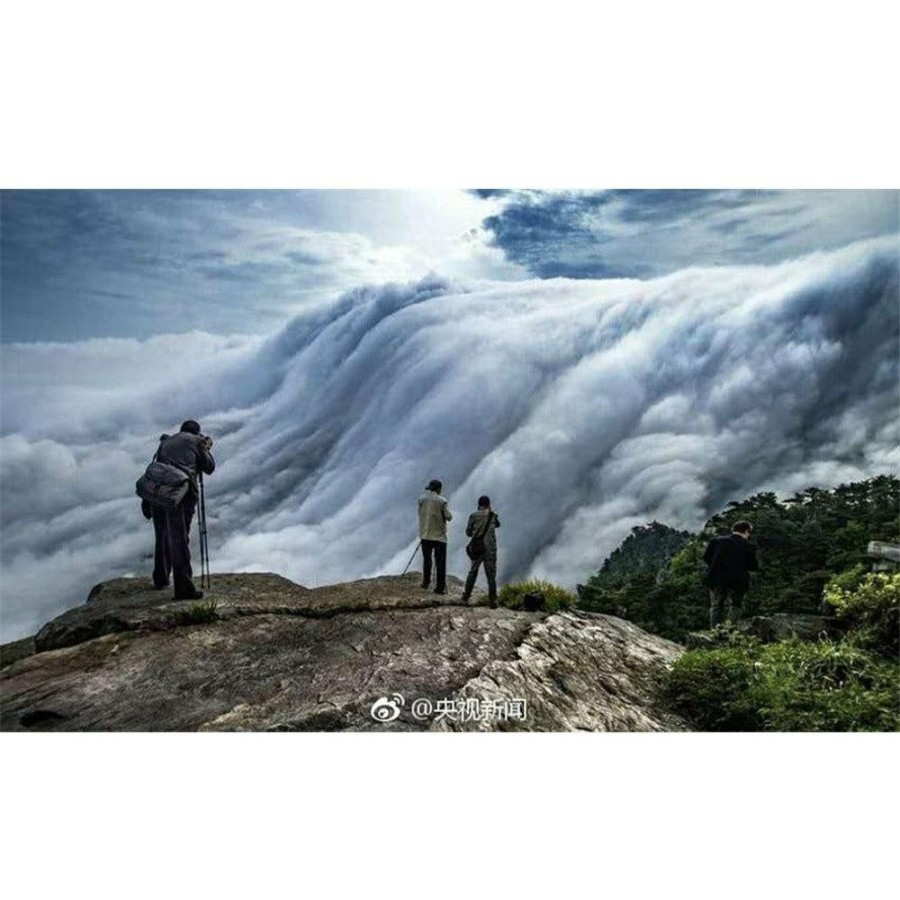 The Verileaf/Eastrise Teas Vert | Nuages Et Brume