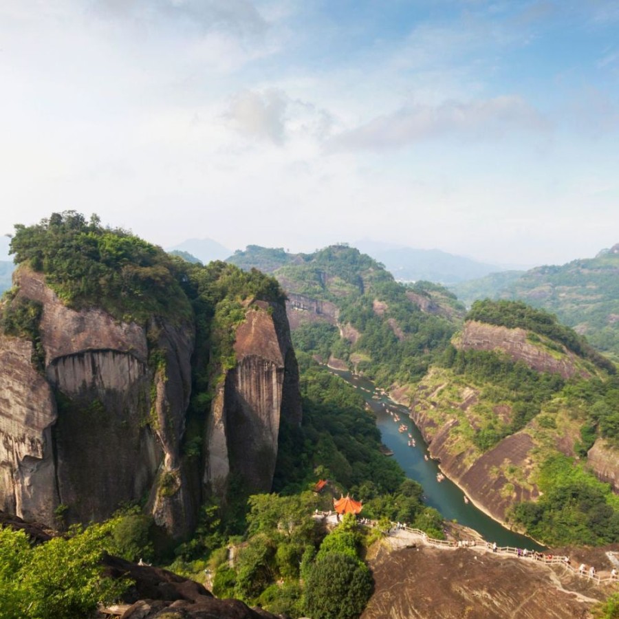 The The Culture of Tea Noir | Zheng Shan Xiao Zhong (Montagne Zheng, Petite Feuille)