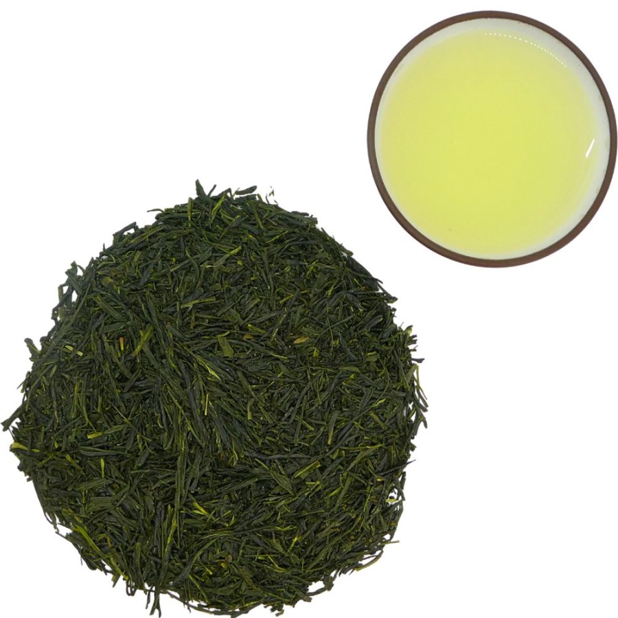 The Saras Tea Caddie Vert | Sencha Cueilli A La Main