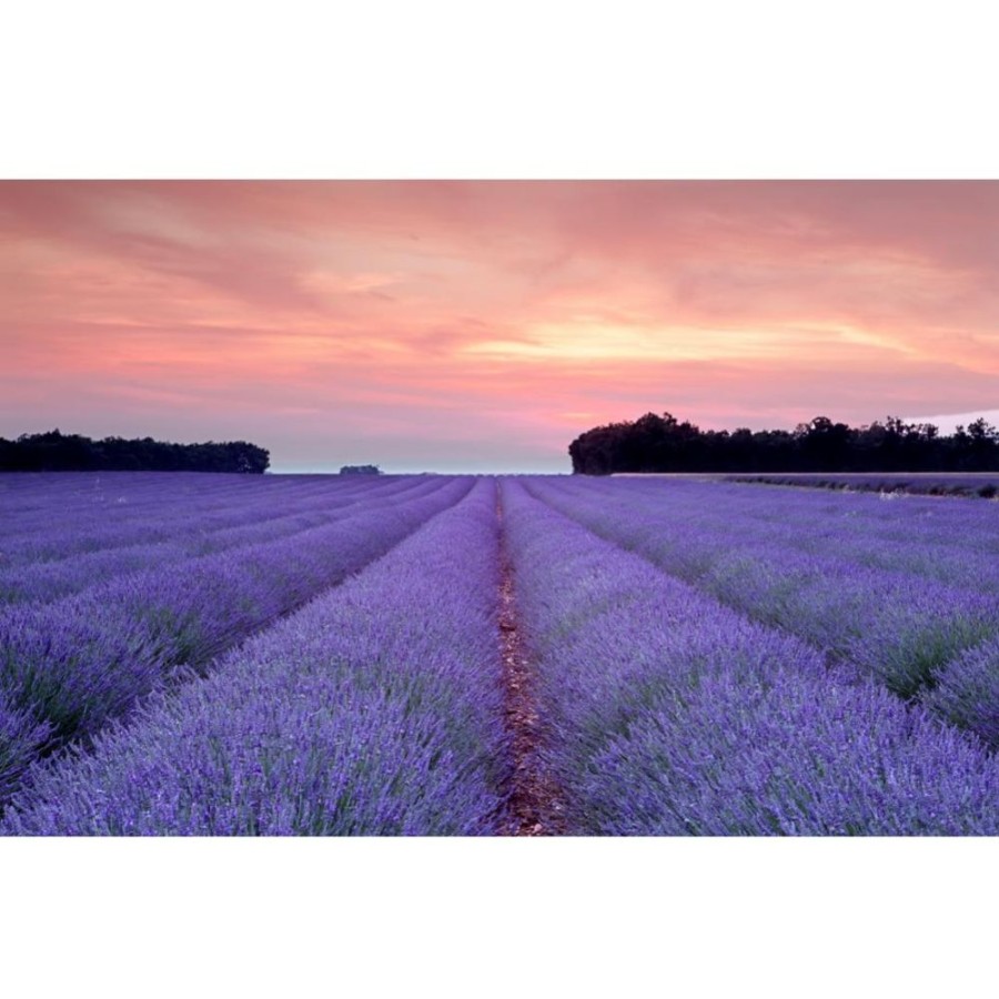 The Mariage Frères Vert | Provence Verte